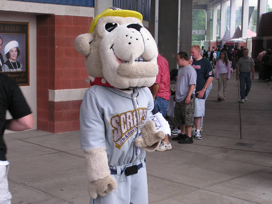 Scrappy - The Mahoning Valley Mascot
